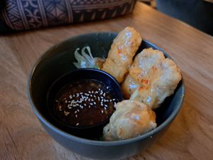  at Project Vegan in Koblenz