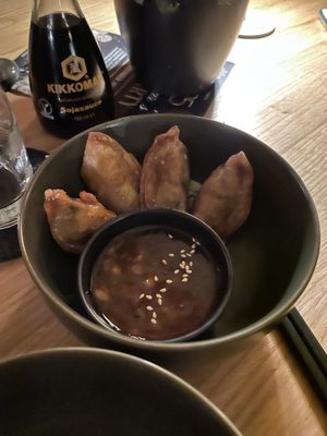 Gyoza 🥟   at Project Vegan in Koblenz