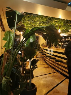  at Project Vegan in Koblenz