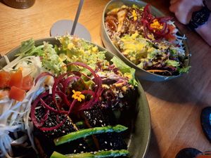  at Project Vegan in Koblenz