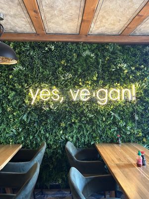   at Project Vegan in Koblenz