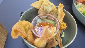  at Project Vegan in Koblenz