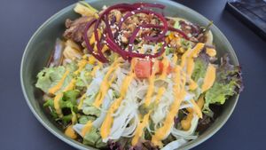  at Project Vegan in Koblenz