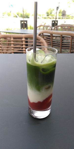 Iced Matcha mit Kokos und Erdbeerpüree at Project Vegan in Koblenz