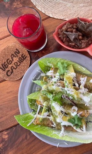  at Vegan Caribe in Bacalar