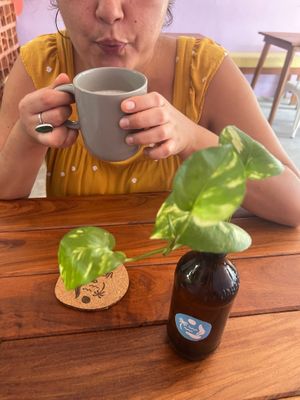  at Vegan Caribe in Bacalar