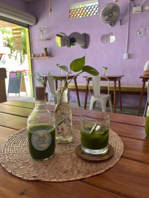  at Vegan Caribe in Bacalar
