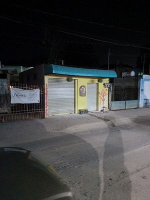  at Vegan Caribe in Bacalar