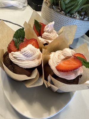   at Vibe Vegan Bistro in Destin