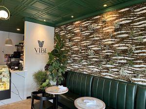The whole wall is air plants! Created by the owner. I loved it!  at Vibe Vegan Bistro in Destin