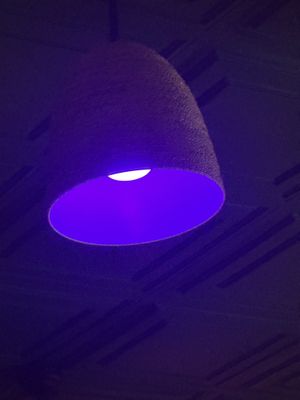 Beautiful Decor 2  at Vibe Vegan Bistro in Destin