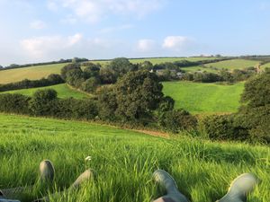 View across the meadows at Haye Cornwall – Vegan-friendly holiday cottage with rescue animals in 25 acres in Liskeard