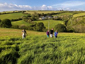   at Haye Cornwall – Vegan-friendly holiday cottage with rescue animals in 25 acres in Liskeard