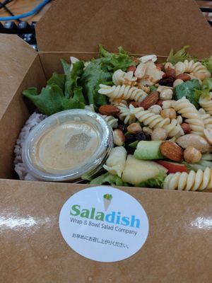 rice is hidden under the vegies at SalaDish - Kayabacho in Tokyo