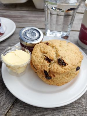 Fruit scone with vegan butter and jam (August 2023) at National Trust - East Riddlesden Hall in Keighley