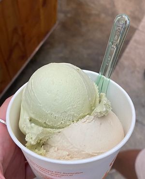   at Capri  in Rotterdam