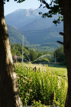  at Vita Rama Holistic Hotel in Obzor