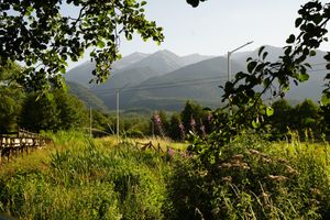  at Vita Rama Holistic Hotel in Obzor