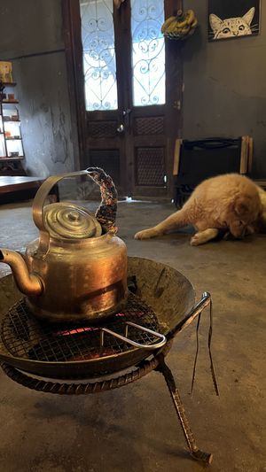 It shows the vibe  at THE MIST in Sapa