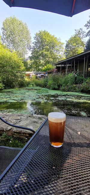 Beer and ducks at Egypt Mill Hotel & Restaurant in Gloucester