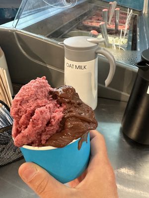 Berry and chocolate sorbets  at Gelato Joy Cafe in Wellfleet