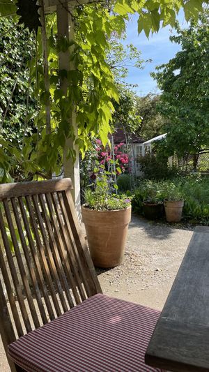 Ambiente 😍🌿  at Höpker Café Confiserie in Friedrichshafen