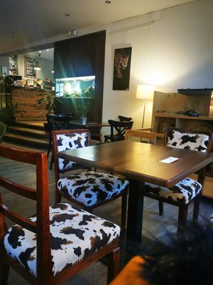  at Vasmacska KávéZoo in Budapest