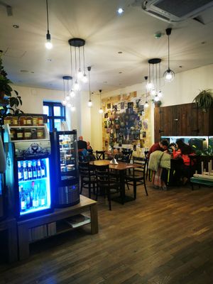  at Vasmacska KávéZoo in Budapest