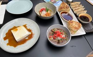 Homemade Peanut Tofu, Vegetable Gyozas, Onigri, Sweet and Sour Eggplant at Izakaya Nozomi in Luzern