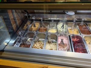 Vegan selections at Patti Gelateria cartagena in Cartagena