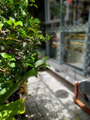 Small seating area at O Plant-based - Nguyễn Đình Chiểu in Ho Chi Minh City