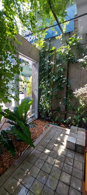  at O Plant-based - Nguyễn Đình Chiểu in Ho Chi Minh City