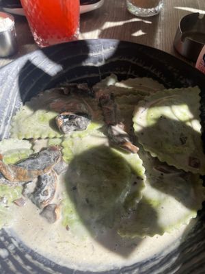 Vegan mushroom ravioli  at Ta' Ċetta Brasserie in Ir-rabat Ghawdex
