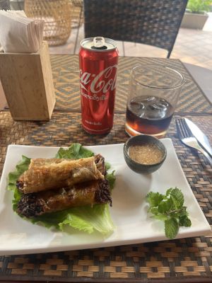   at Grasshopper Cafe in Luang Prabang