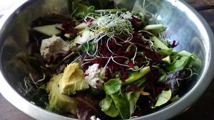 Early Greens salad, ordered as a vegan dish, with soft cashew cheese. From recently revised menu. Served in metal bowl. at Outdated - An Antique Cafe in Kingston