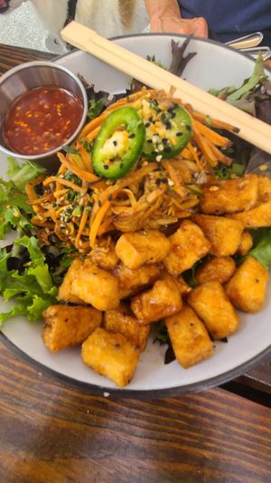 Bibimbap platter at Forgotten Tonic in St Augustine