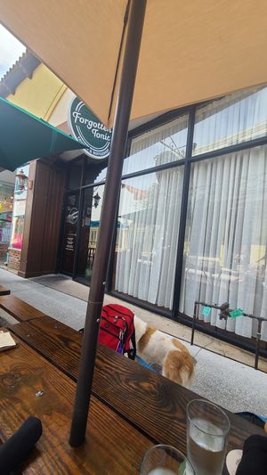 Outside dining area at Forgotten Tonic in St Augustine