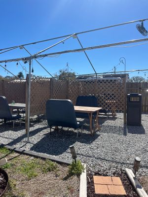 Outside scenery at InnerG Cafe in Winter Haven