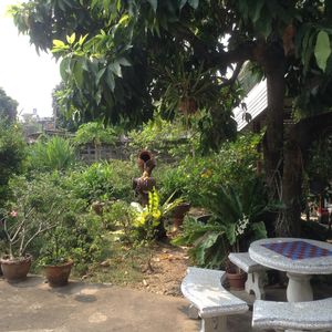 In the garden at Baan Chey - บ้านเจ in Nan