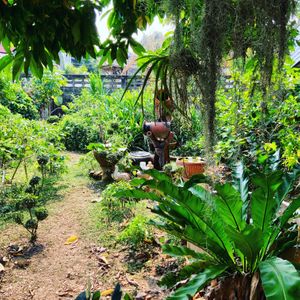 Lovely gardens  at Baan Chey - บ้านเจ in Nan