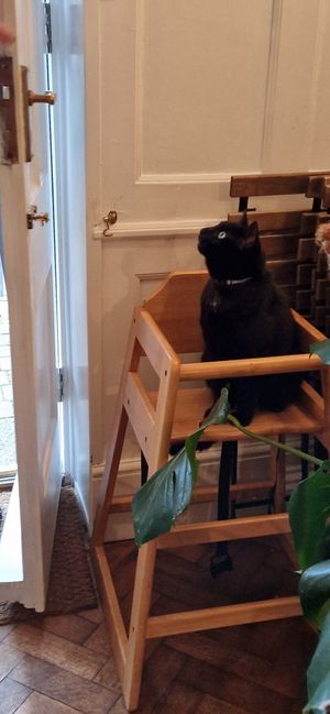  at Orange Cafe Bar in Mousehole