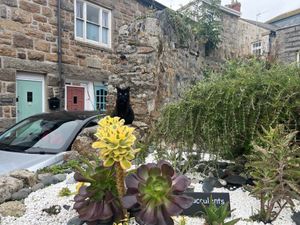 Kaluha the cafe cat will guard you, accept some pats, but she’ll judge you too as any cat of worth would! at Orange Cafe Bar in Mousehole