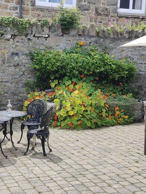The courtyard at Orange Cafe Bar in Mousehole