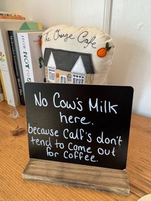   at Orange Cafe Bar in Mousehole