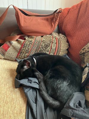 Sweet baby girl   at Orange Cafe Bar in Mousehole