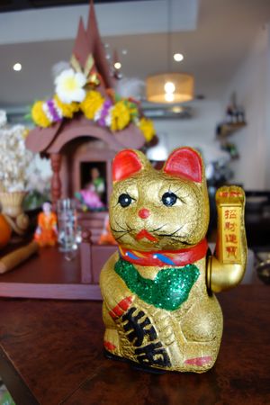 Cat on the counter at Keng Restaurant in Saarbrucken