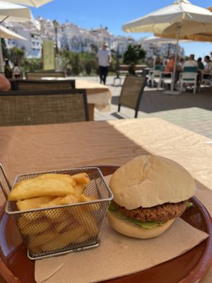 Vegan Burger. Quite dry without any dressing.   at El Olivo in Frigiliana