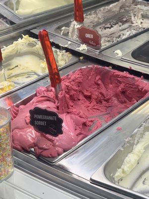 Vegan Pomegranate Icecream  at Gino's Gelato in Westport
