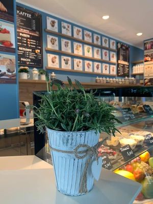 Inside  at Don Fra Eismanufaktur in Falkensee