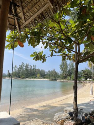   at Orion Cafe in Koh Phangan